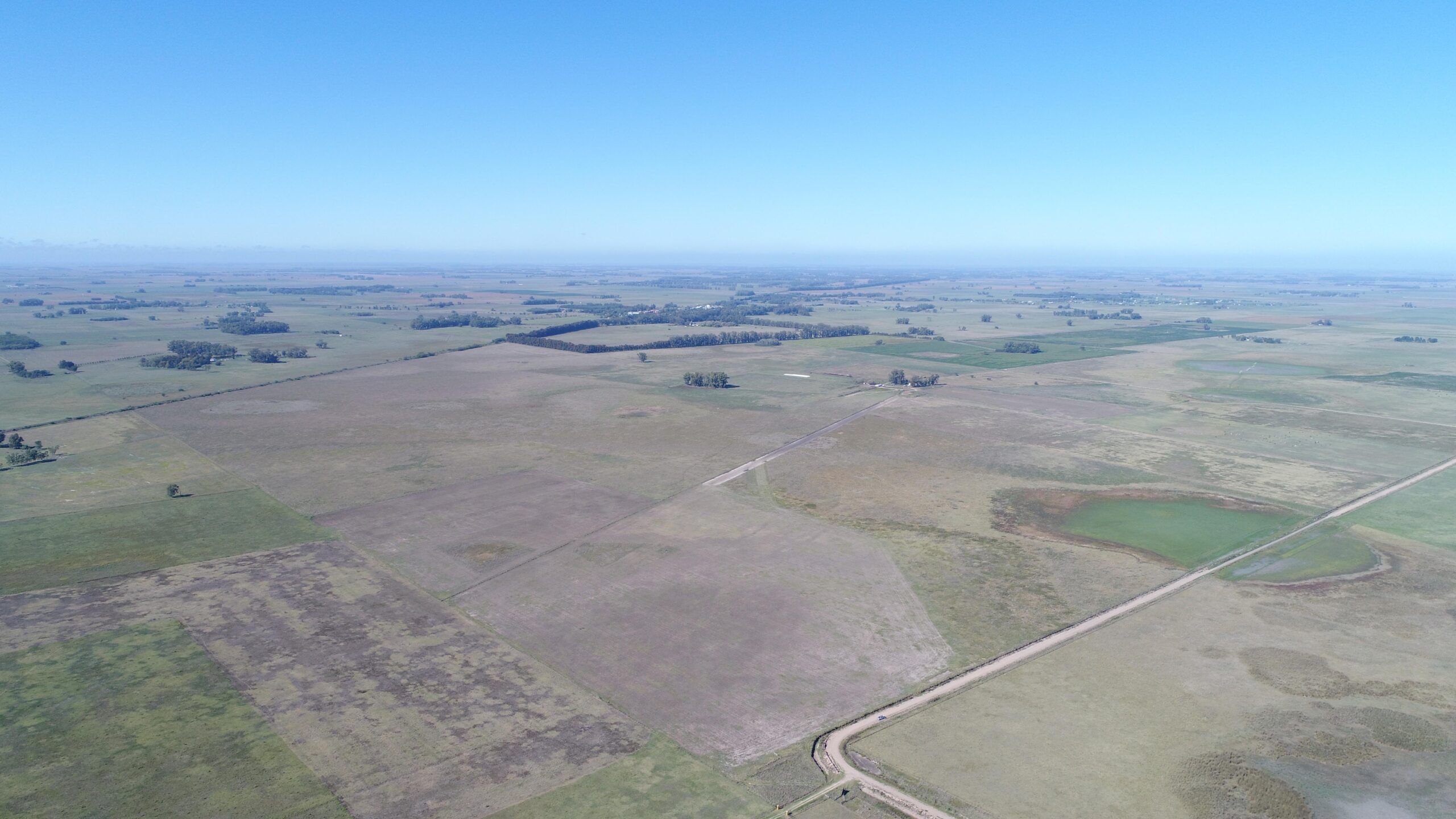Pcia. De Buenos Aires – Abbott 466 Has