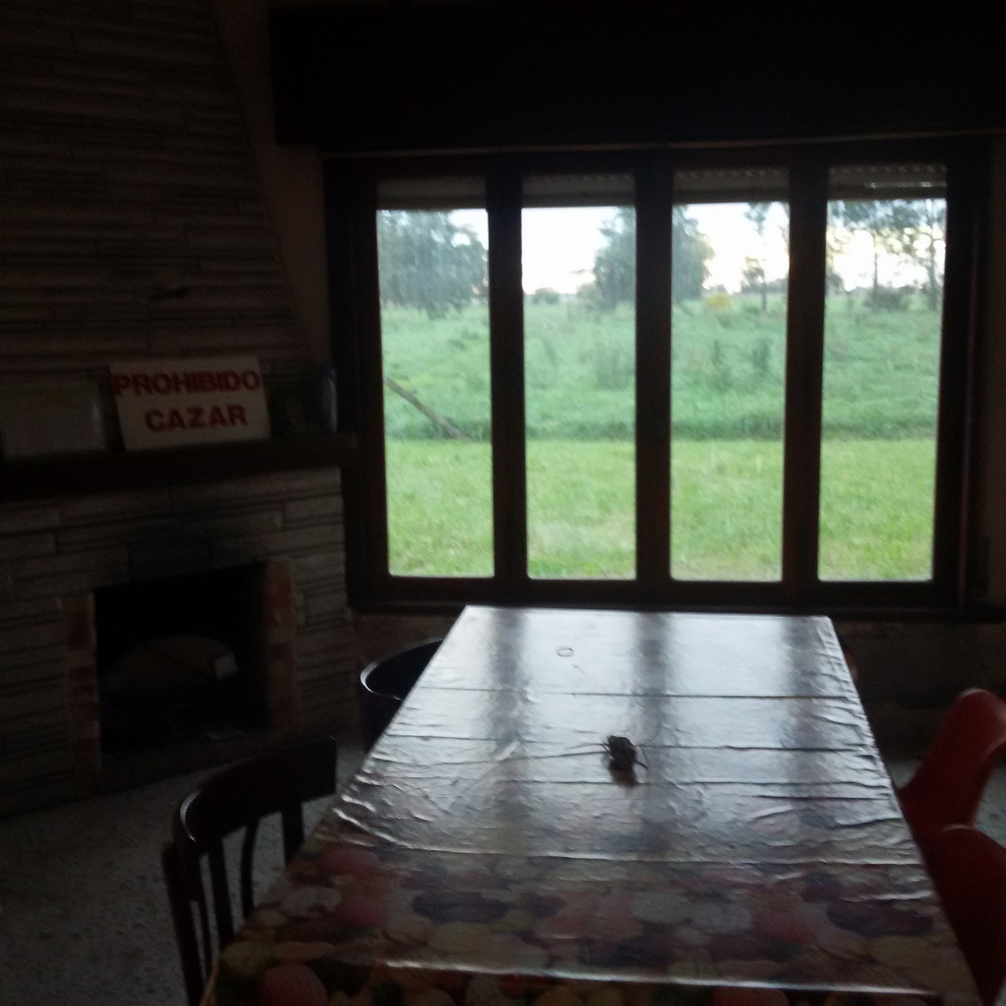 Chacra de 4 has con casa en Roque Perez