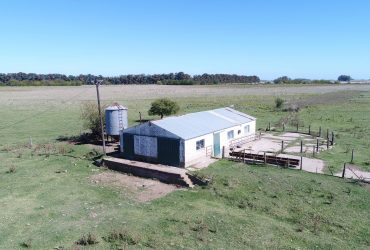 Pcia. De Buenos Aires – Abbott 466 Has