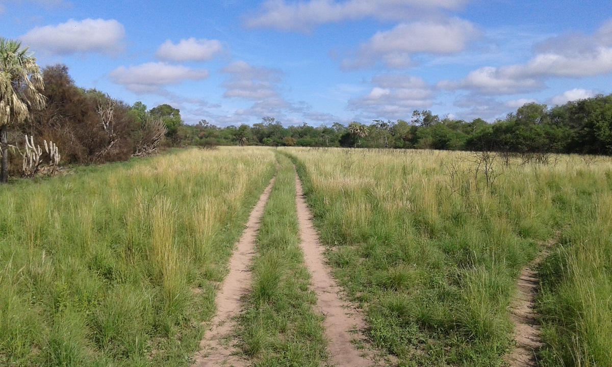 Campo a desarrollar en Formosa