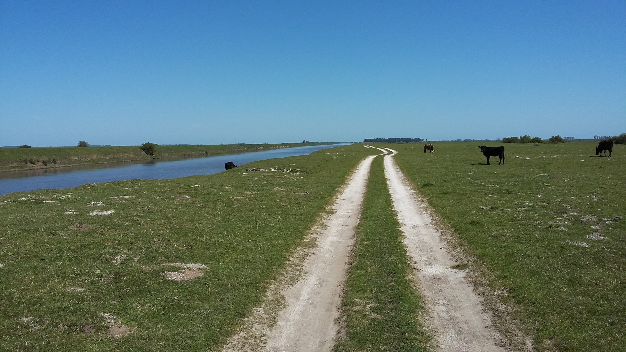 CAMPO en Venta 84 has en Castelli