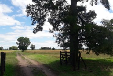 Alquiler temporario en Roque Perez, casa, quincho, pileta