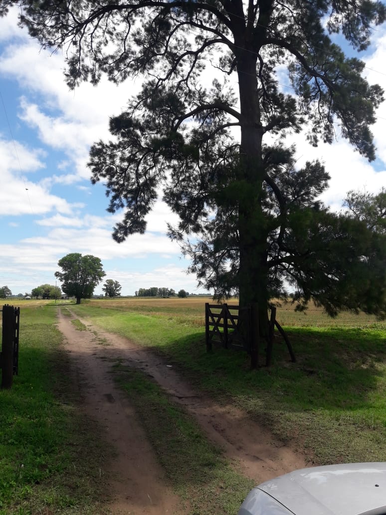 Alquiler temporario en Roque Perez, casa, quincho, pileta