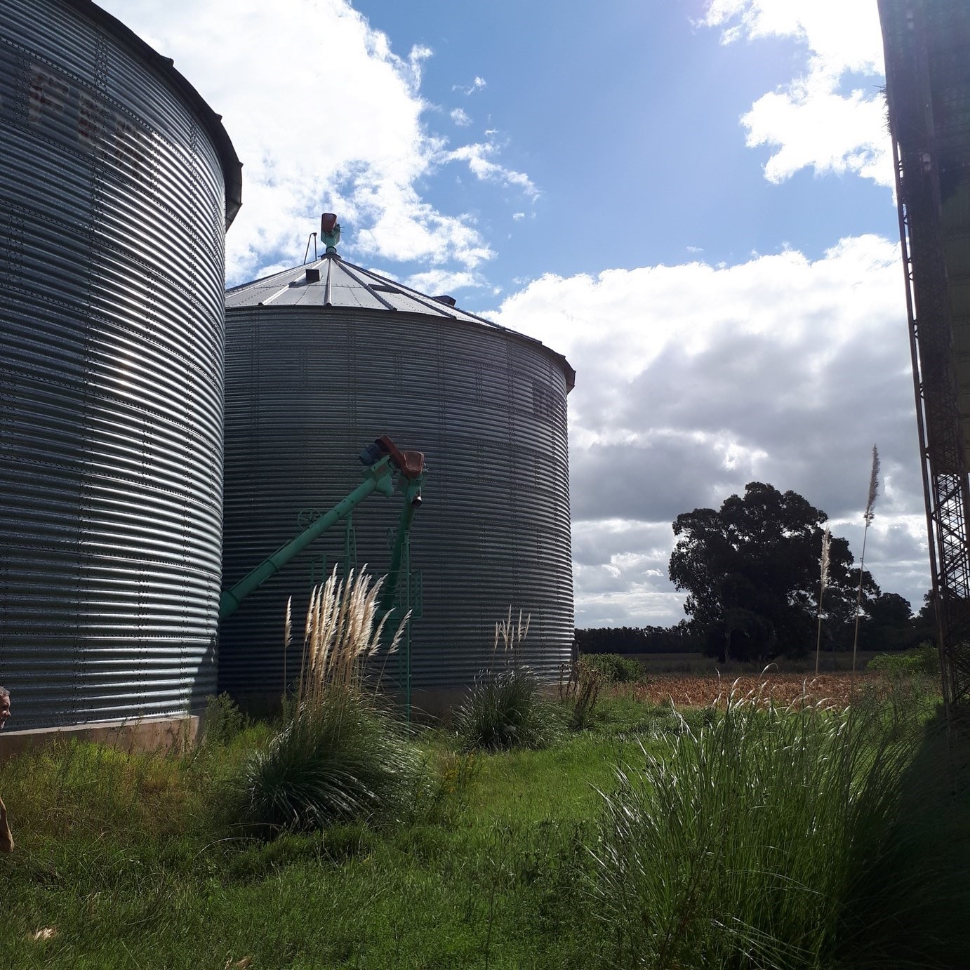 Dos silos y tinglado sobre acceso a la Laguna de Lobos EL CAMPO DE 15 HAS VA GRATIS