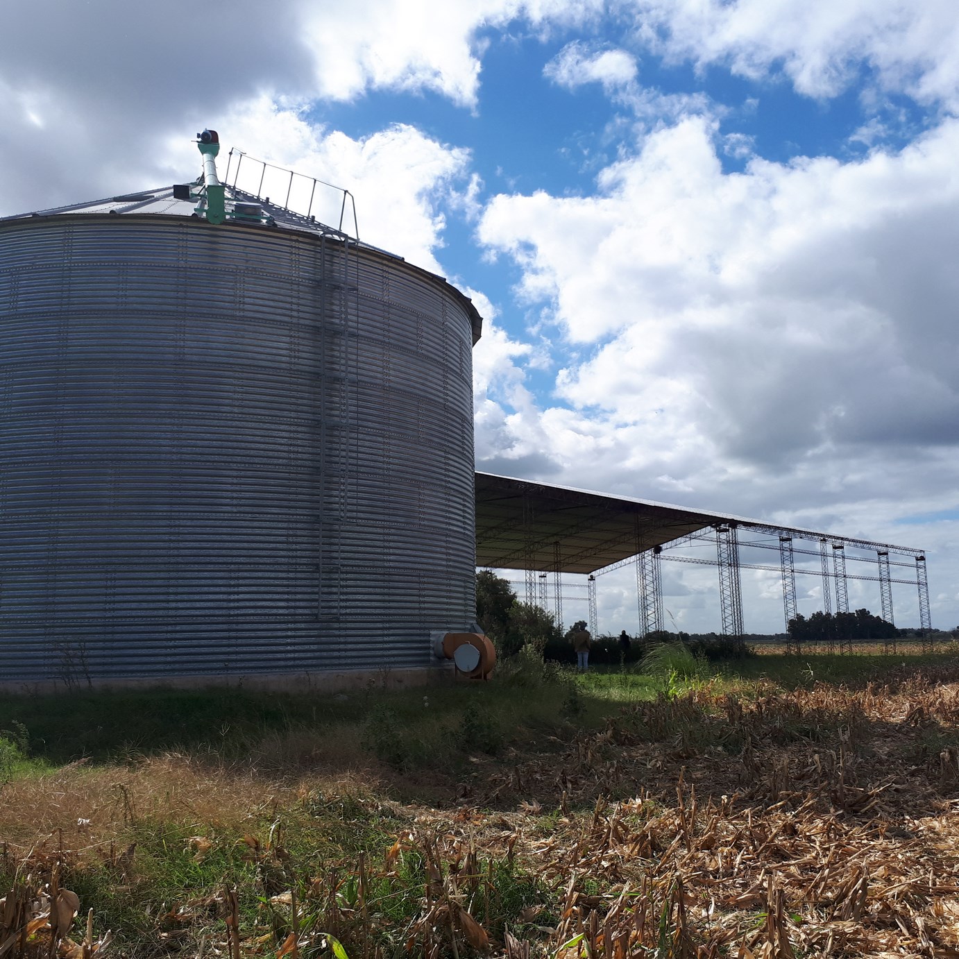 Dos silos y tinglado sobre acceso a la Laguna de Lobos EL CAMPO DE 15 HAS VA GRATIS