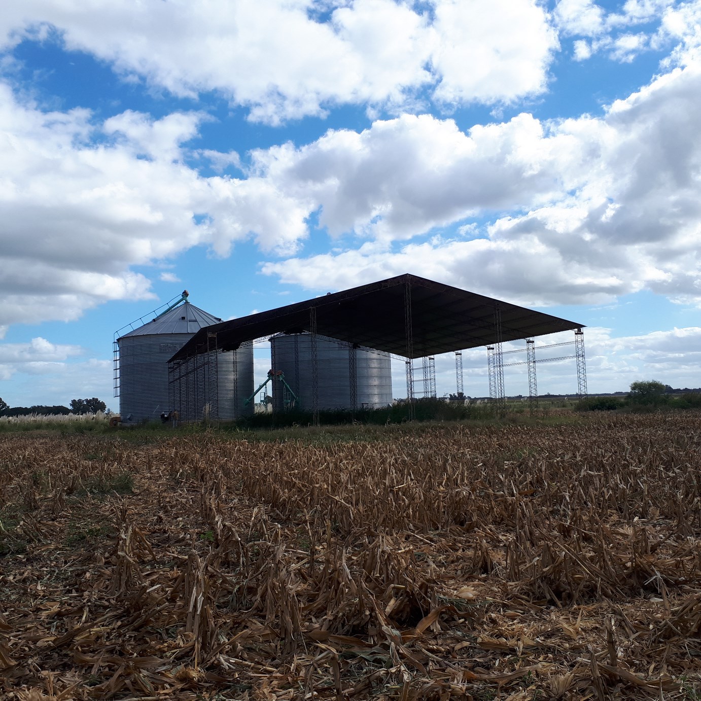 Dos silos y tinglado sobre acceso a la Laguna de Lobos EL CAMPO DE 15 HAS VA GRATIS