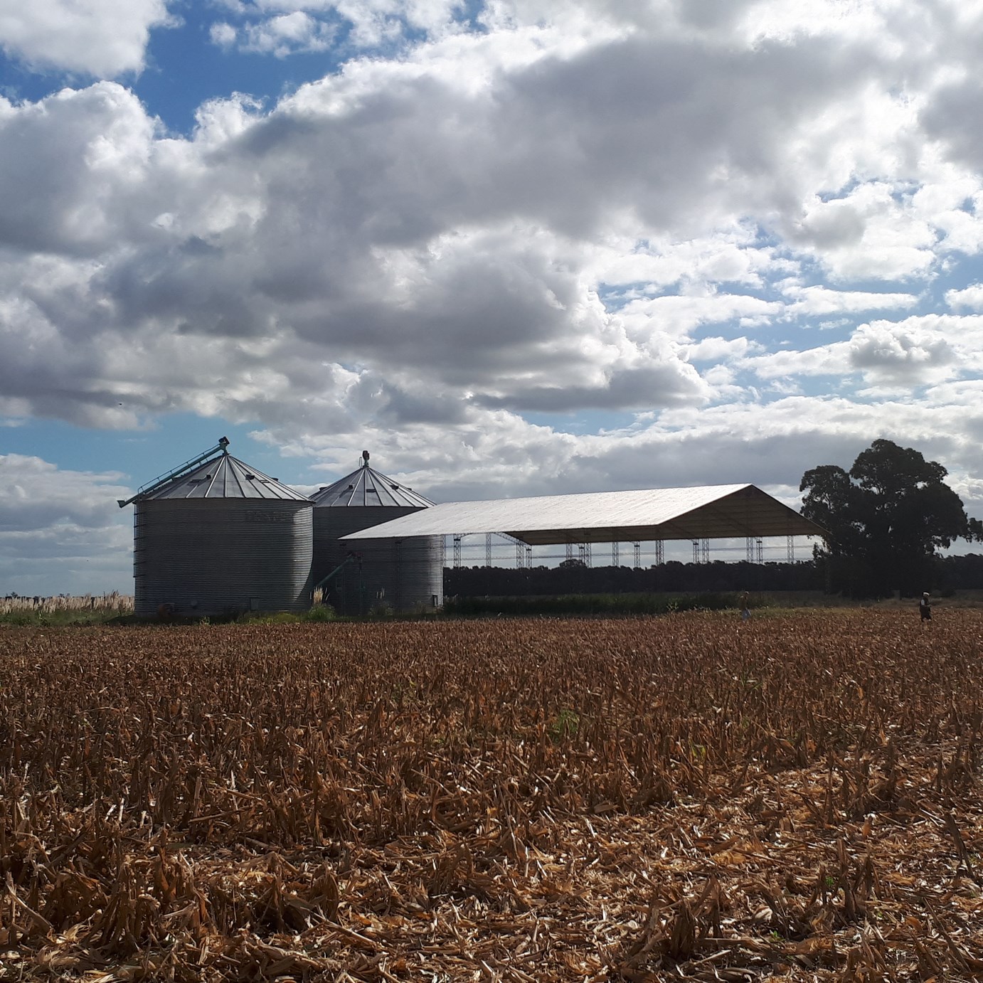 Dos silos y tinglado sobre acceso a la Laguna de Lobos EL CAMPO DE 15 HAS VA GRATIS