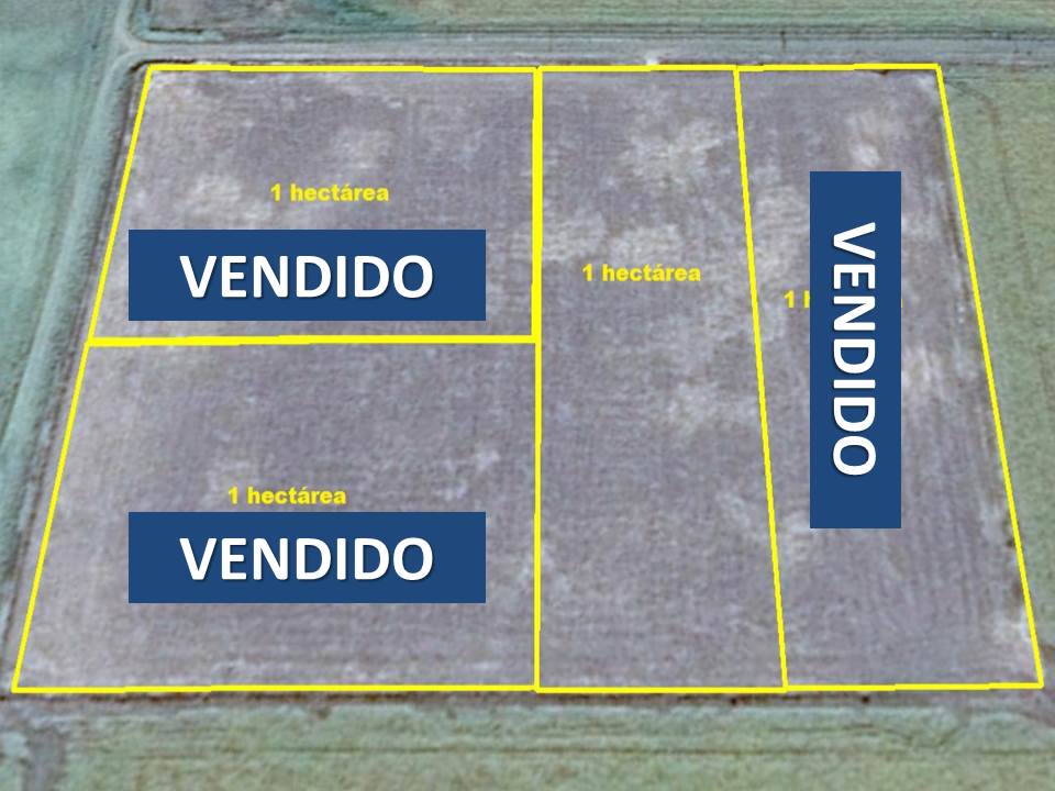 Lote de 1 ha, luz trifasica, alambres, escritura inmediata