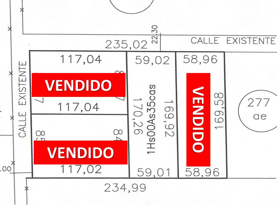 Lote de 1 ha, luz trifasica, alambres, escritura inmediata