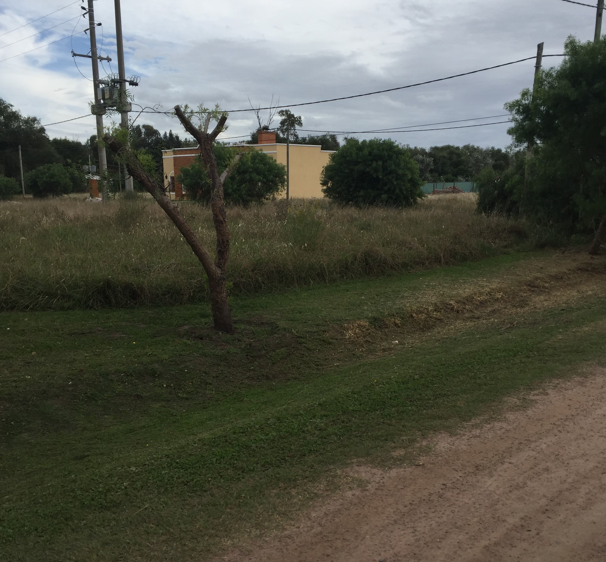 Lotes en zona residencial de Roque Pérez