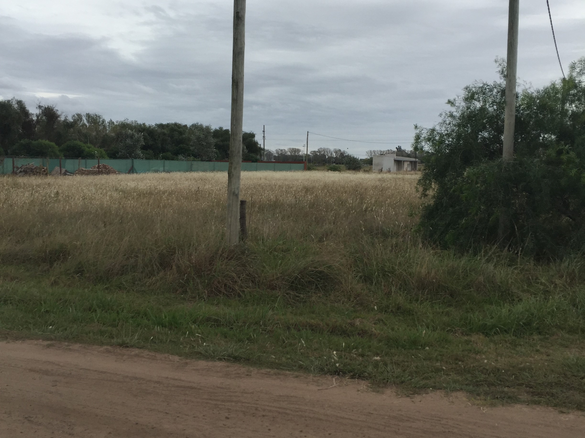 Lotes en zona residencial de Roque Pérez
