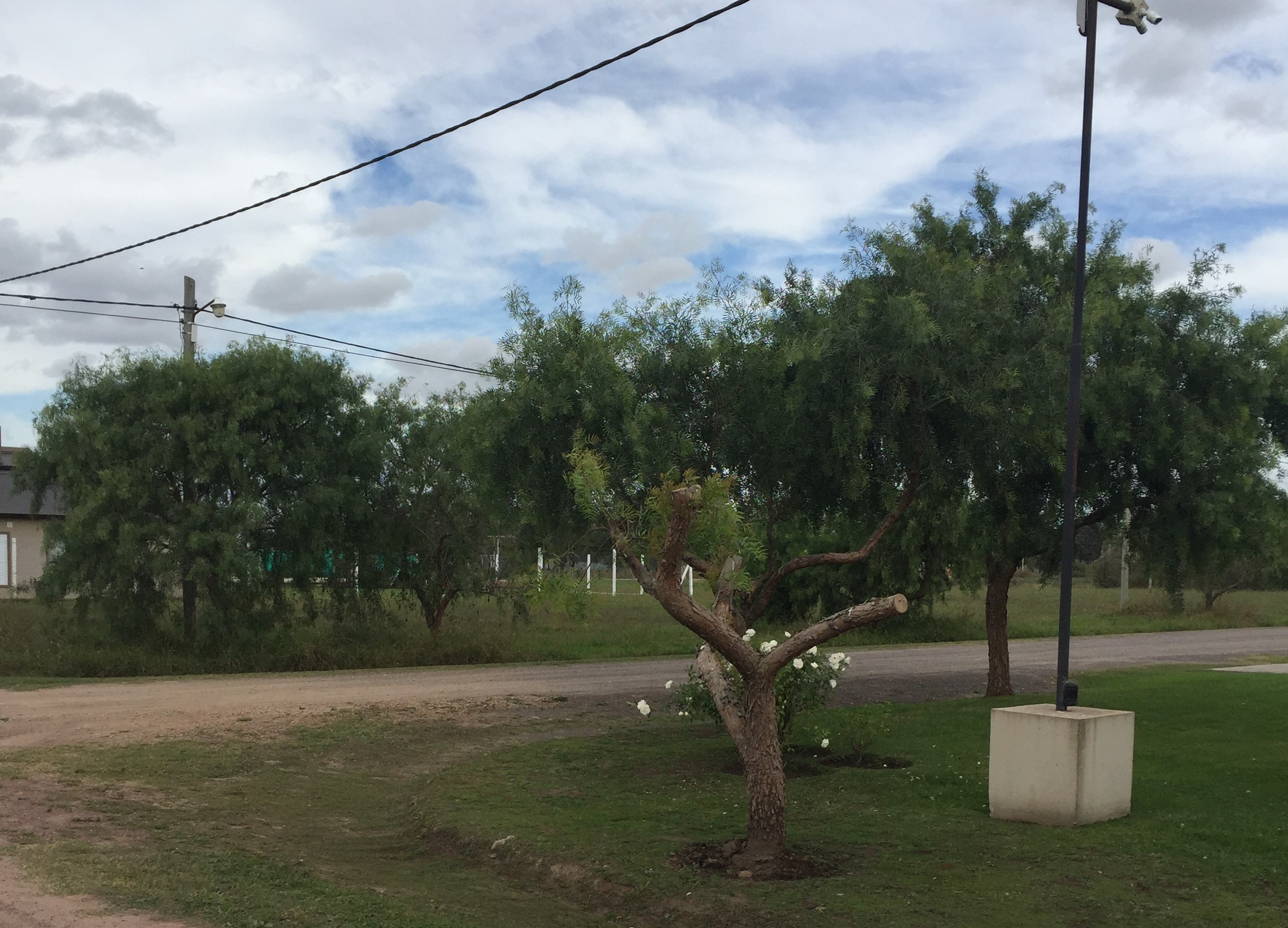 Lotes en zona residencial de Roque Pérez