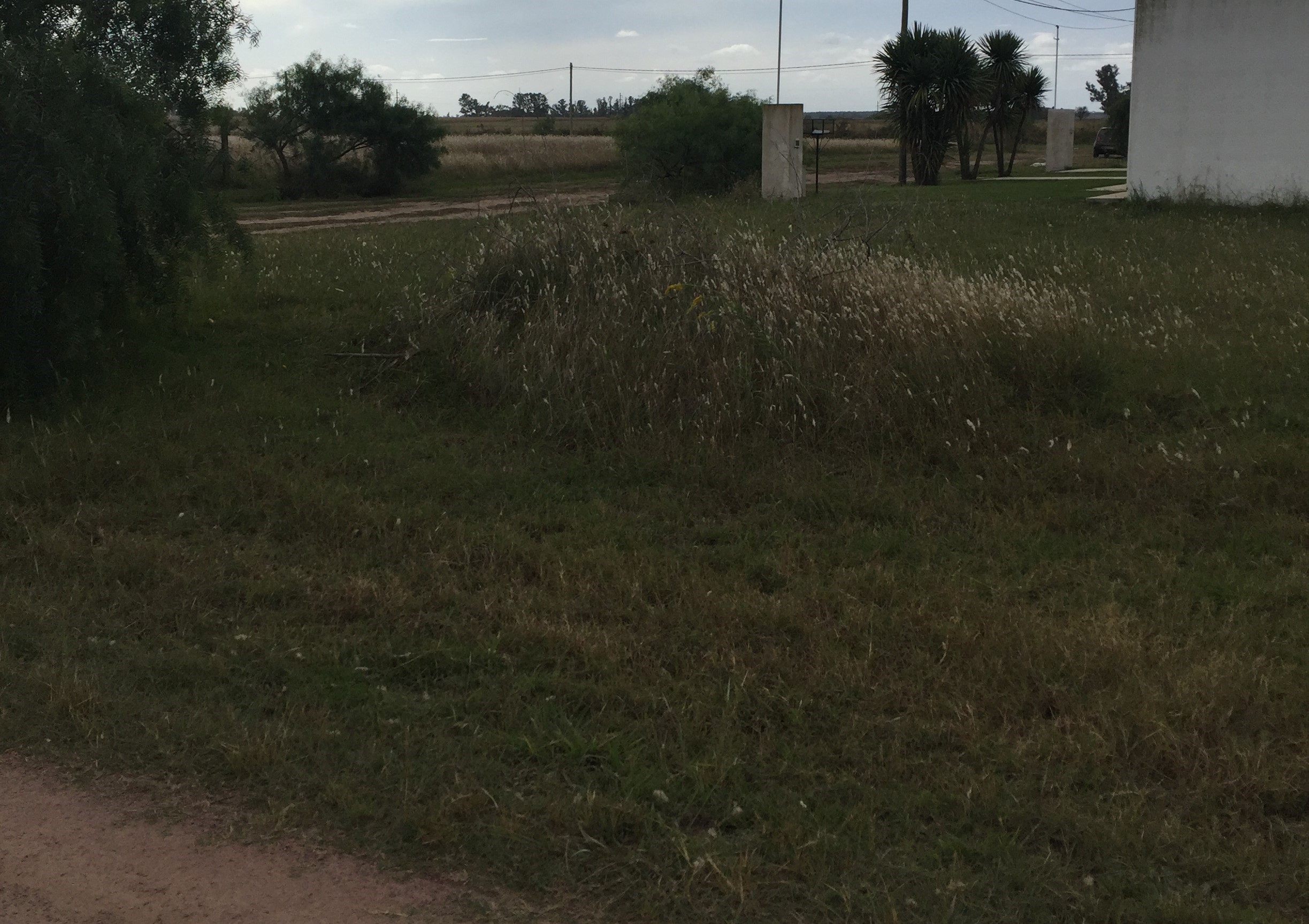 Lotes en zona residencial de Roque Pérez