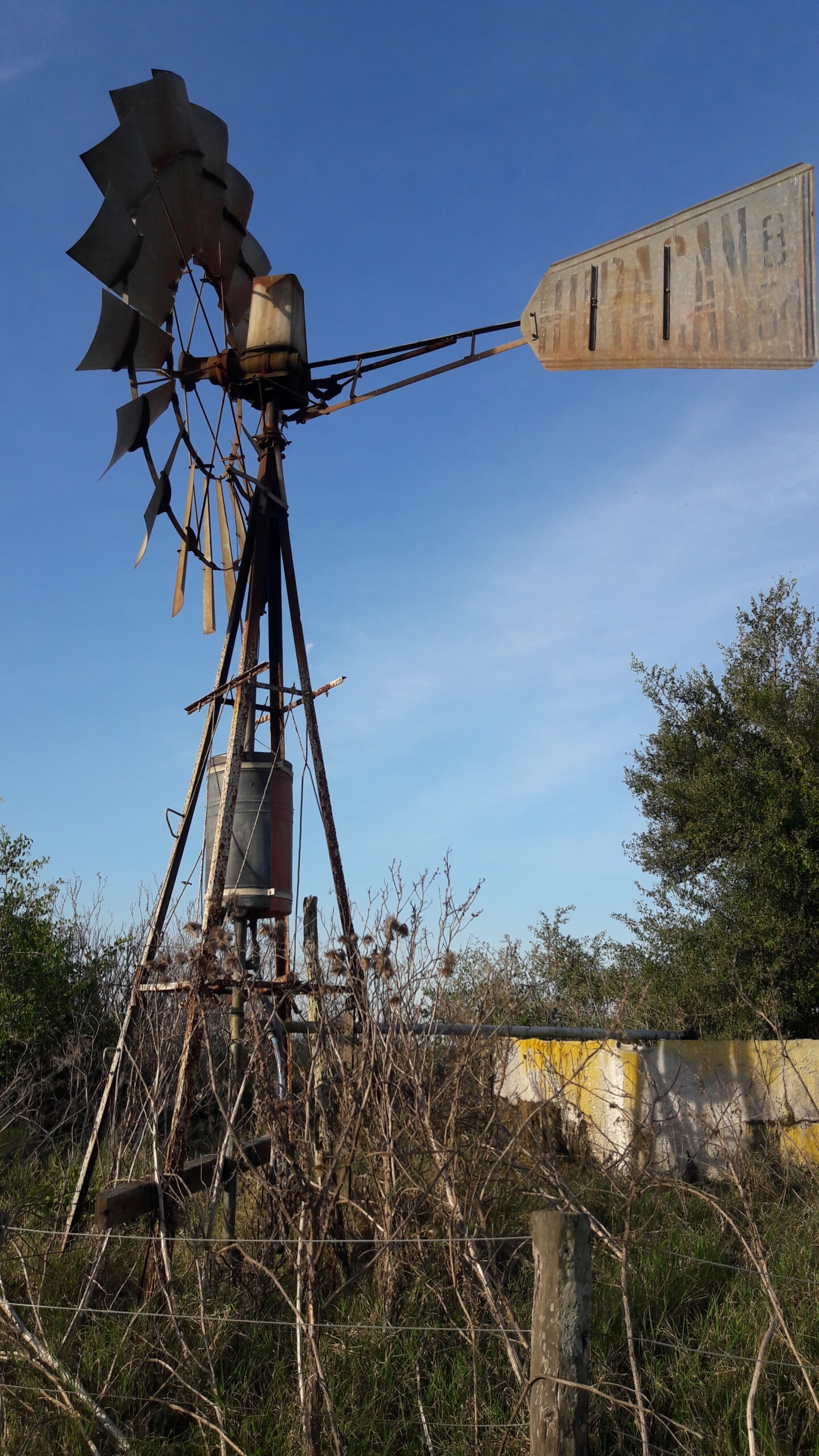 CAMPO en Venta en Lezama 91 hectáreas