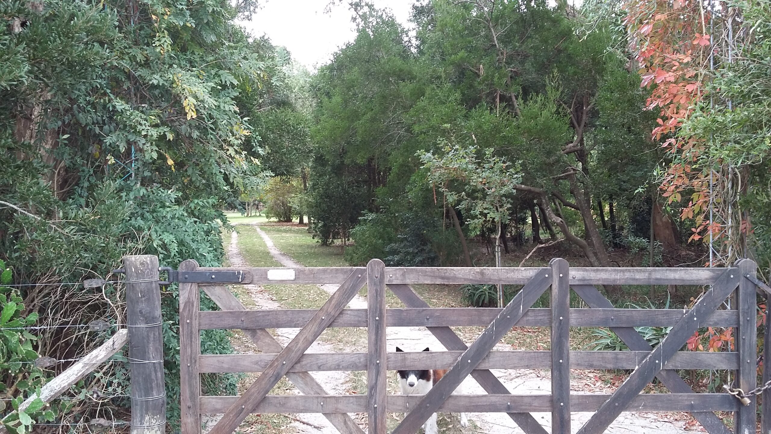 CAMPO en Venta en Punta Indio-Impresionante Arboleda-