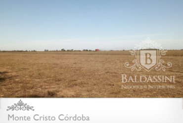 CAMPO DE 45 HAS AGRÍCOLA EN MONTECRISTO – CÓRDOBA