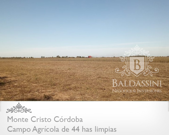 CAMPO DE 45 HAS AGRÍCOLA EN MONTECRISTO – CÓRDOBA