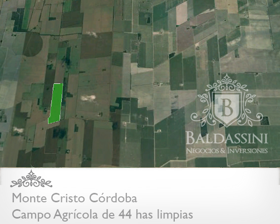 CAMPO DE 45 HAS AGRÍCOLA EN MONTECRISTO – CÓRDOBA