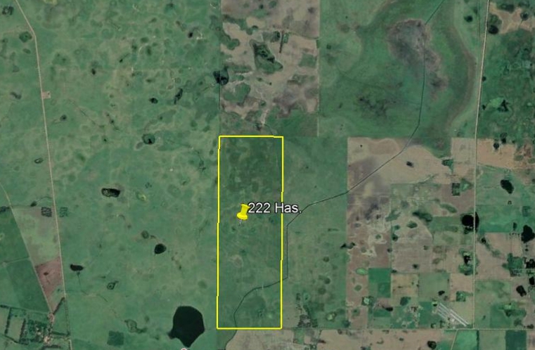 Venta de campo en Los Médanos, Roque Pérez