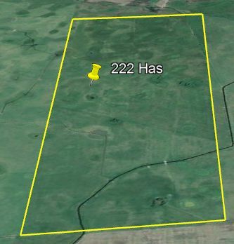 Venta de campo en Los Médanos, Roque Pérez