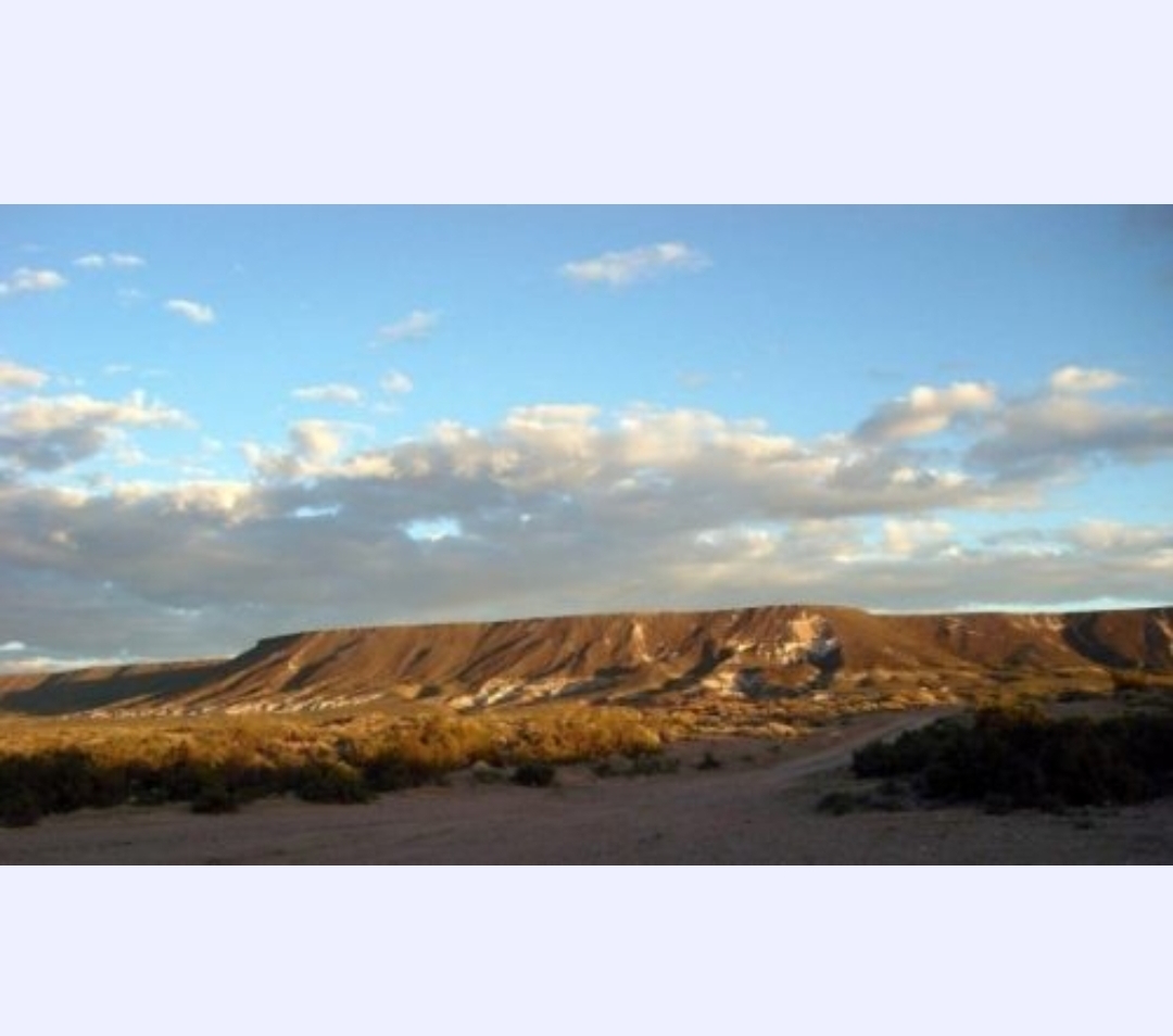 Campo en cerro policia