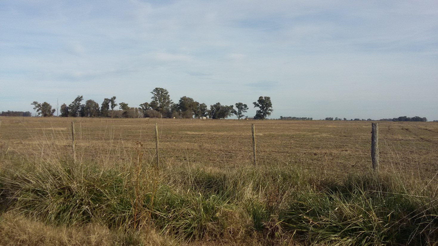 41 has en Alvarez de Toledo – Saladillo