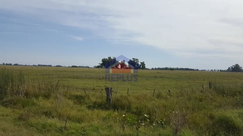 CAMPO DE 26 HECTÁREAS EN VENTA EN LINCOLN