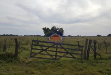 CAMPO DE 26 HECTÁREAS EN VENTA EN LINCOLN