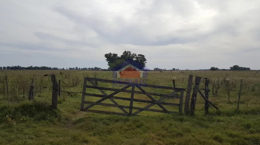 CAMPO DE 26 HECTÁREAS EN VENTA EN LINCOLN