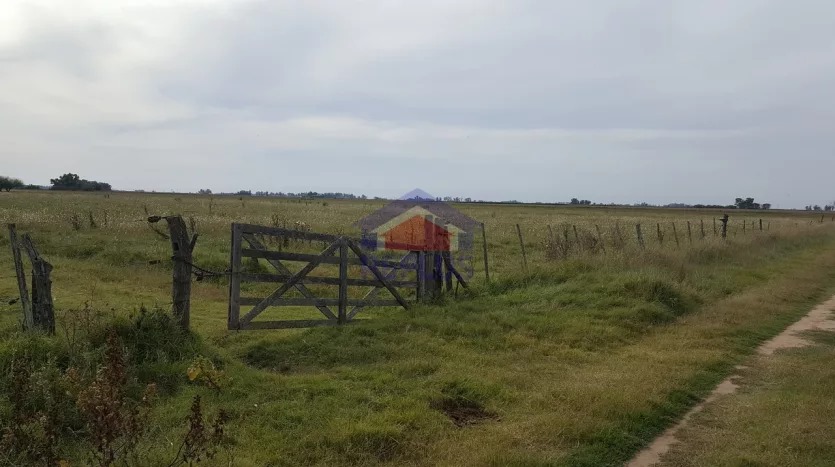 CAMPO DE 26 HECTÁREAS EN VENTA EN LINCOLN