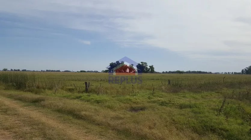 CAMPO DE 26 HECTÁREAS EN VENTA EN LINCOLN