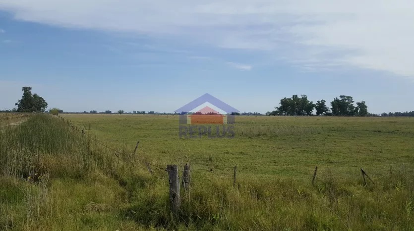 CAMPO DE 26 HECTÁREAS EN VENTA EN LINCOLN