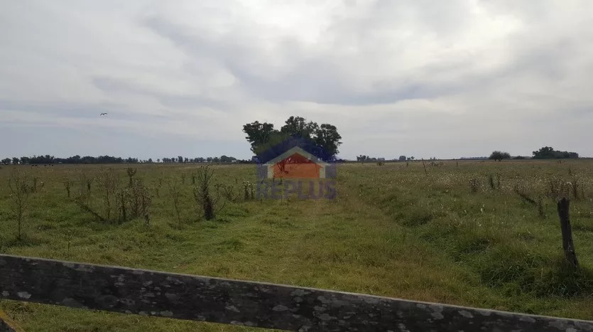 CAMPO DE 26 HECTÁREAS EN VENTA EN LINCOLN
