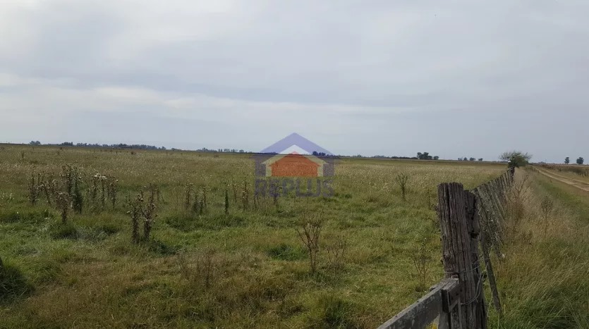 CAMPO DE 26 HECTÁREAS EN VENTA EN LINCOLN