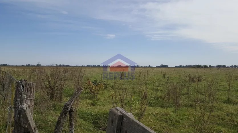 CAMPO DE 26 HECTÁREAS EN VENTA EN LINCOLN