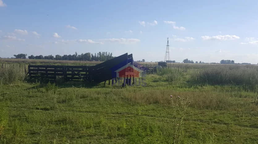 OPORTUNIDAD!!! CAMPO DE 11HA CON CASA Y GALPON