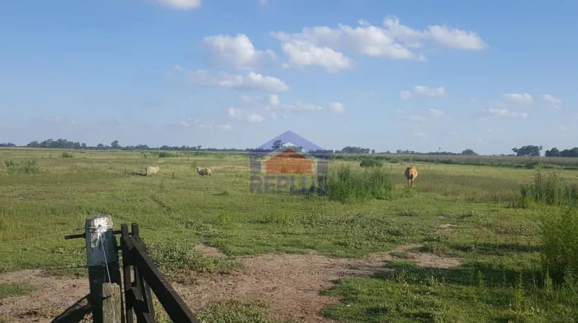 OPORTUNIDAD!!! CAMPO DE 11HA CON CASA Y GALPON