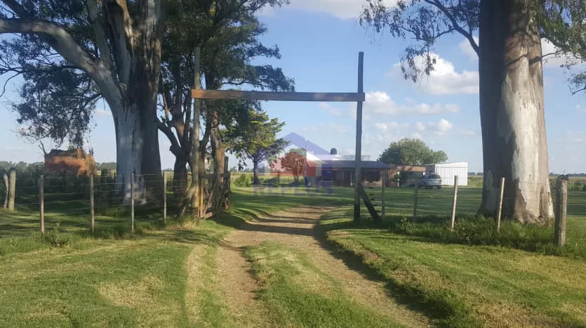OPORTUNIDAD!!! CAMPO DE 11HA CON CASA Y GALPON