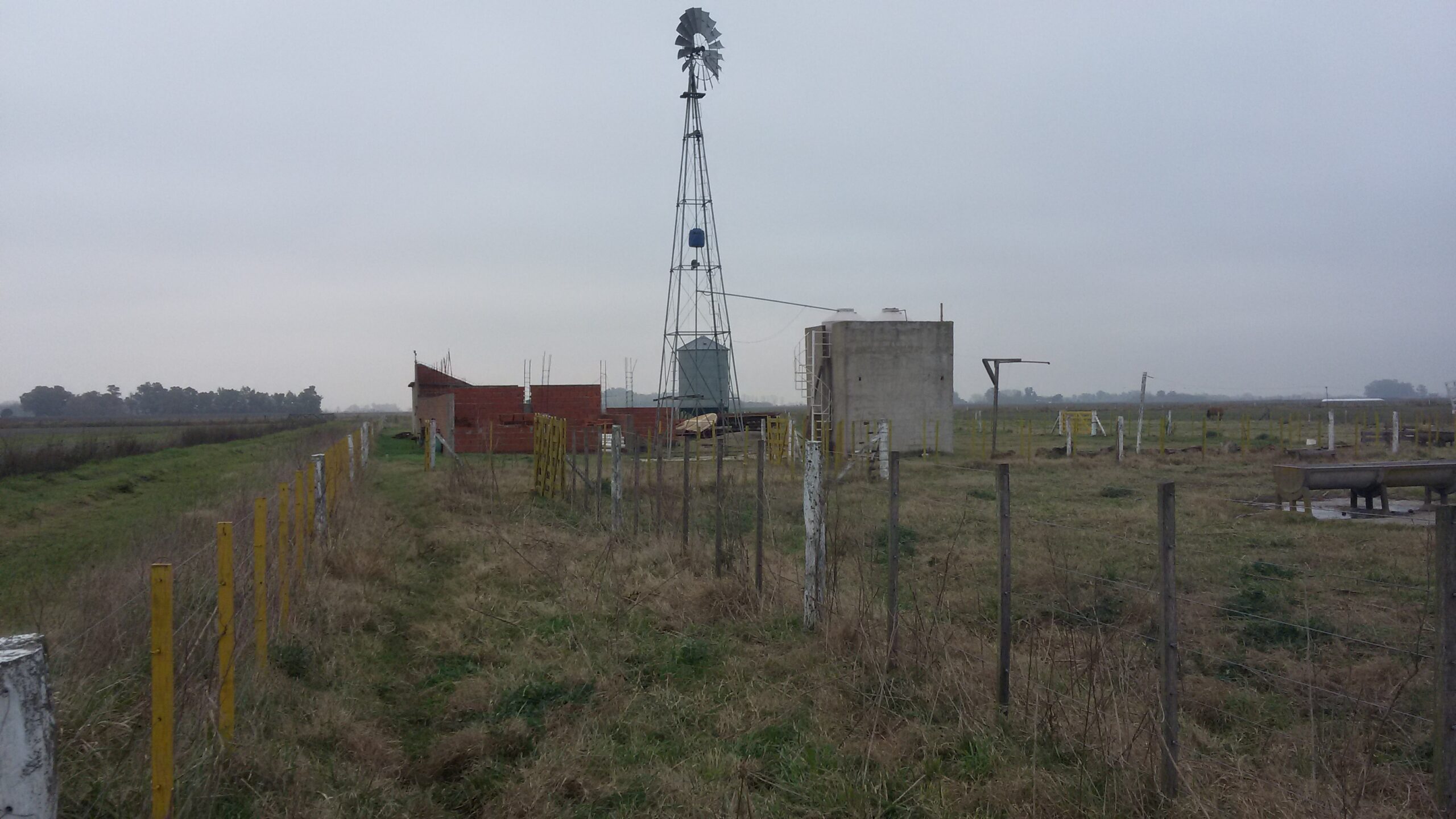 Feed Lot en Campo de 19 has con instalacion de engorde en Roque Perez