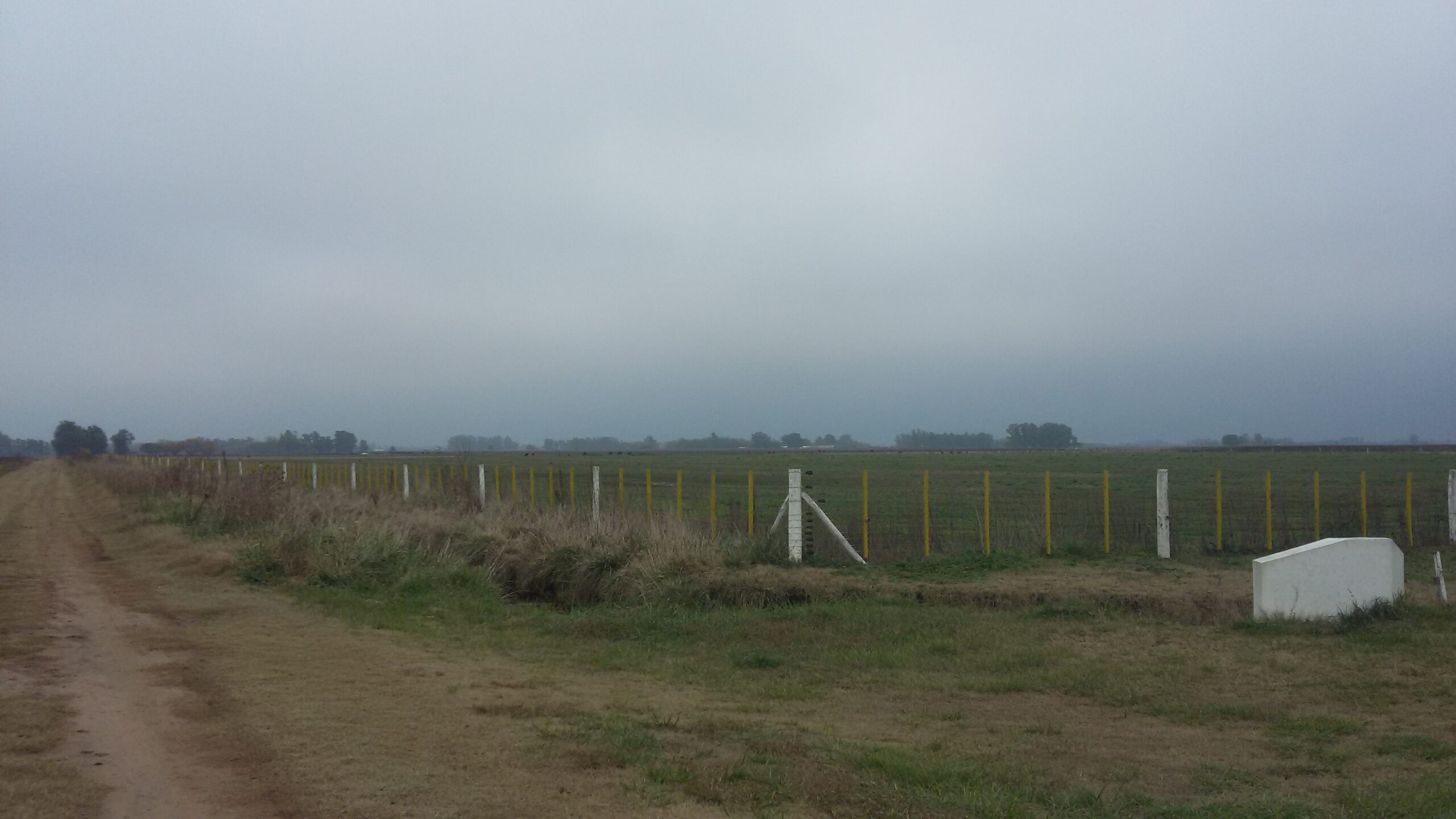 Feed Lot en Campo de 19 has con instalacion de engorde en Roque Perez