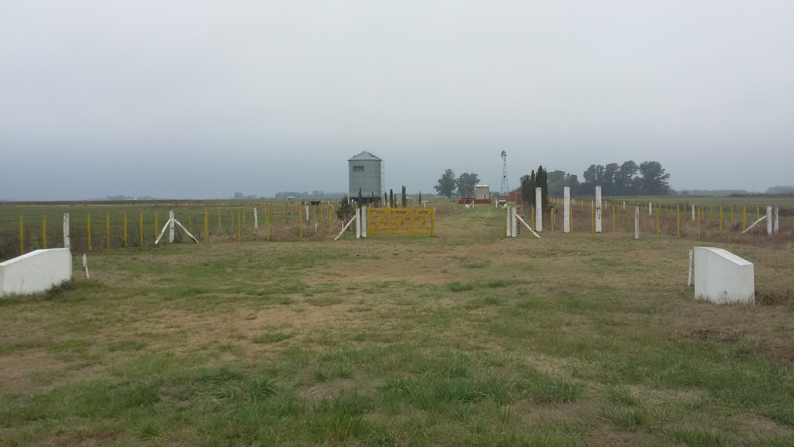 Feed Lot en Campo de 19 has con instalacion de engorde en Roque Perez
