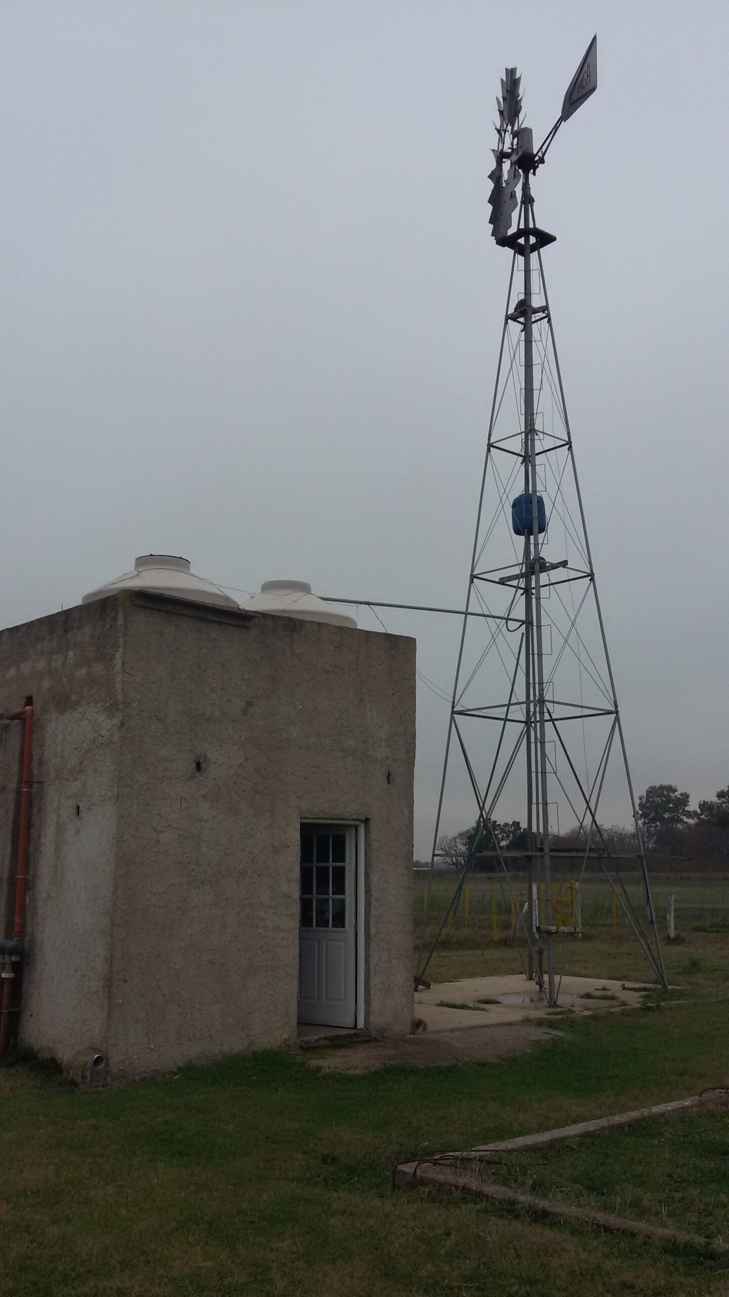 Feed Lot en Campo de 19 has con instalacion de engorde en Roque Perez