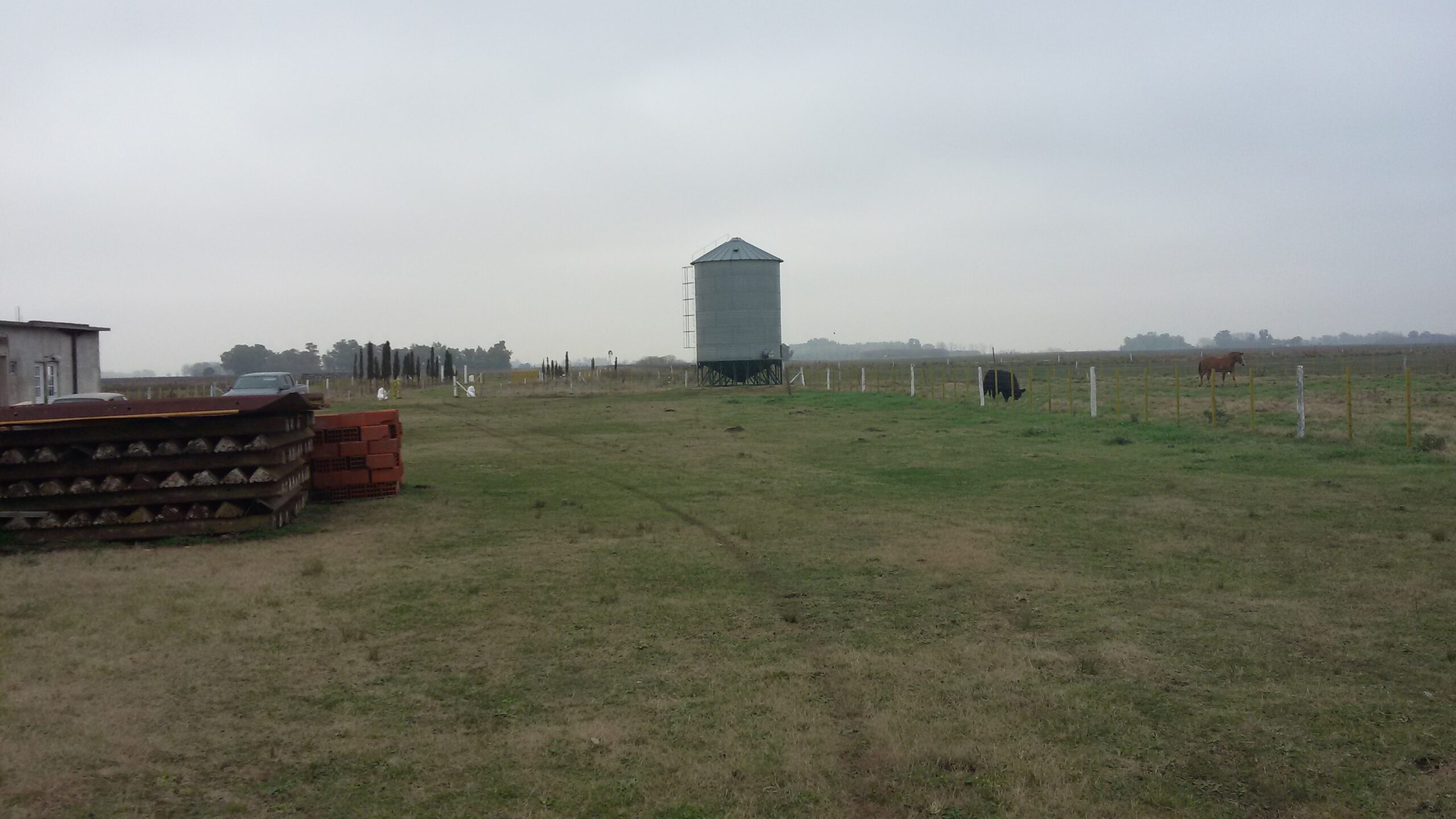 Feed Lot en Campo de 19 has con instalacion de engorde en Roque Perez