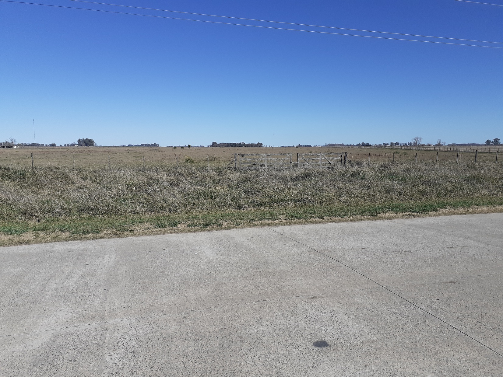 Lotes En Acceso Dalto De Roque Perez, Sobre Asfalto 13000 M2 y 14000 m2