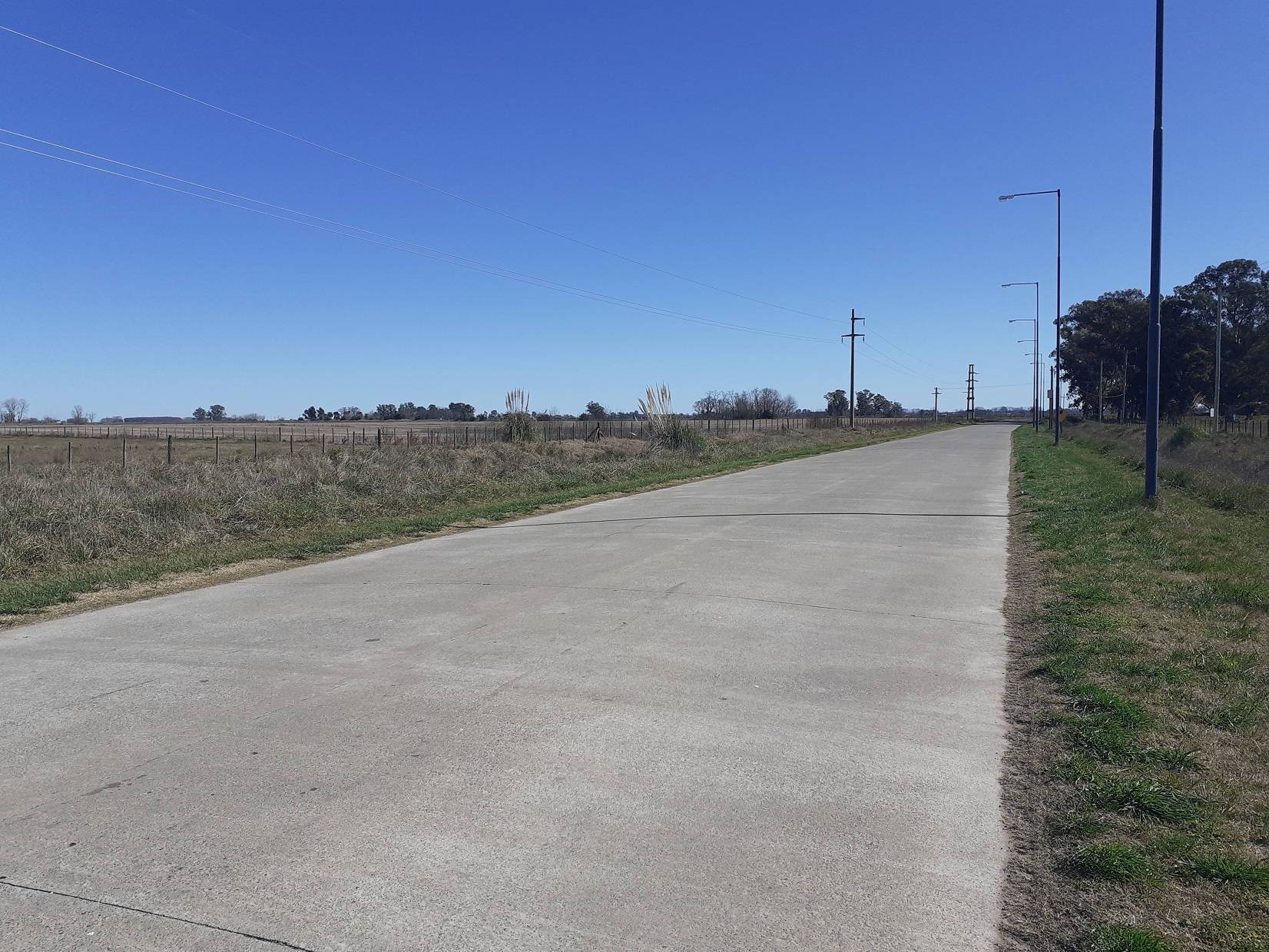 Lotes En Acceso Dalto De Roque Perez, Sobre Asfalto 13000 M2 y 14000 m2