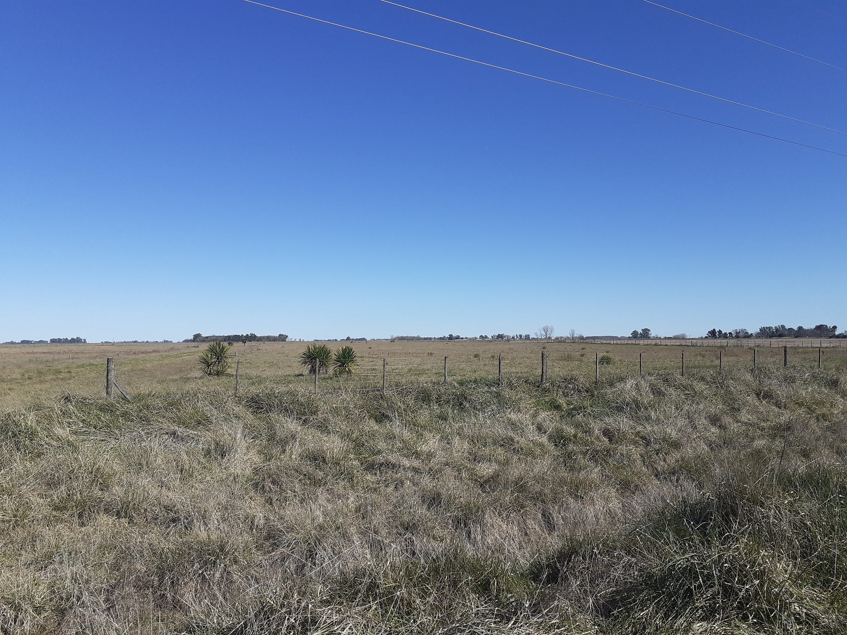 Lotes En Acceso Dalto De Roque Perez, Sobre Asfalto 13000 M2 y 14000 m2