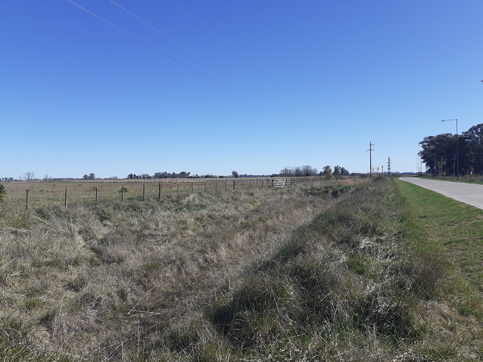 Lotes En Acceso Dalto De Roque Perez, Sobre Asfalto 13000 M2 y 14000 m2