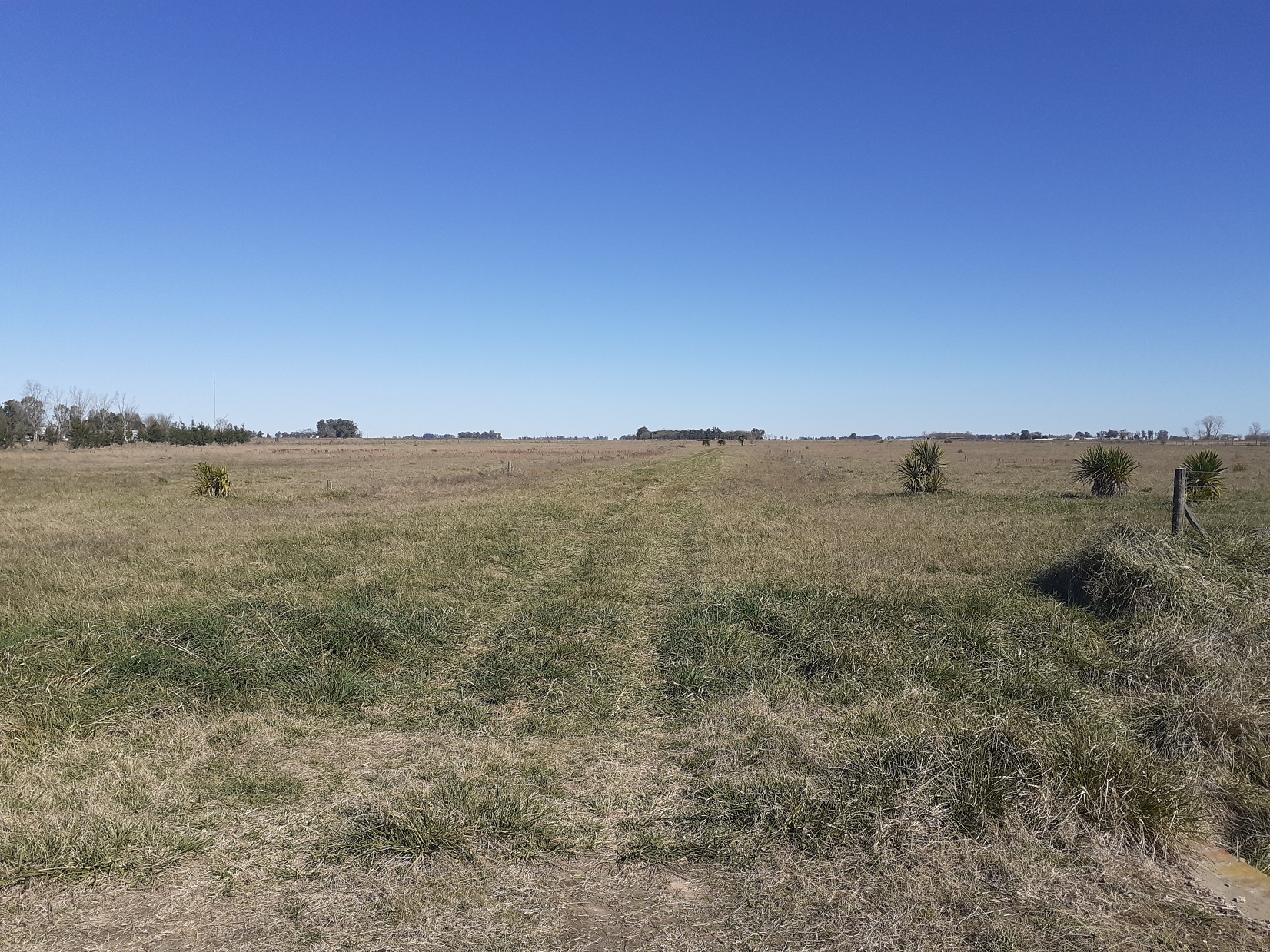 Lotes En Acceso Dalto De Roque Perez, Sobre Asfalto 13000 M2 y 14000 m2