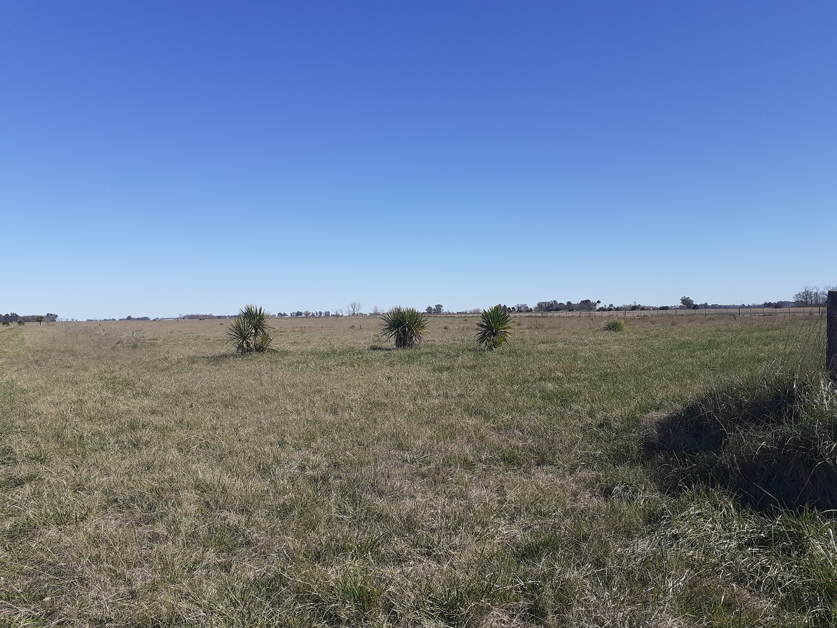 Lotes En Acceso Dalto De Roque Perez, Sobre Asfalto 13000 M2 y 14000 m2