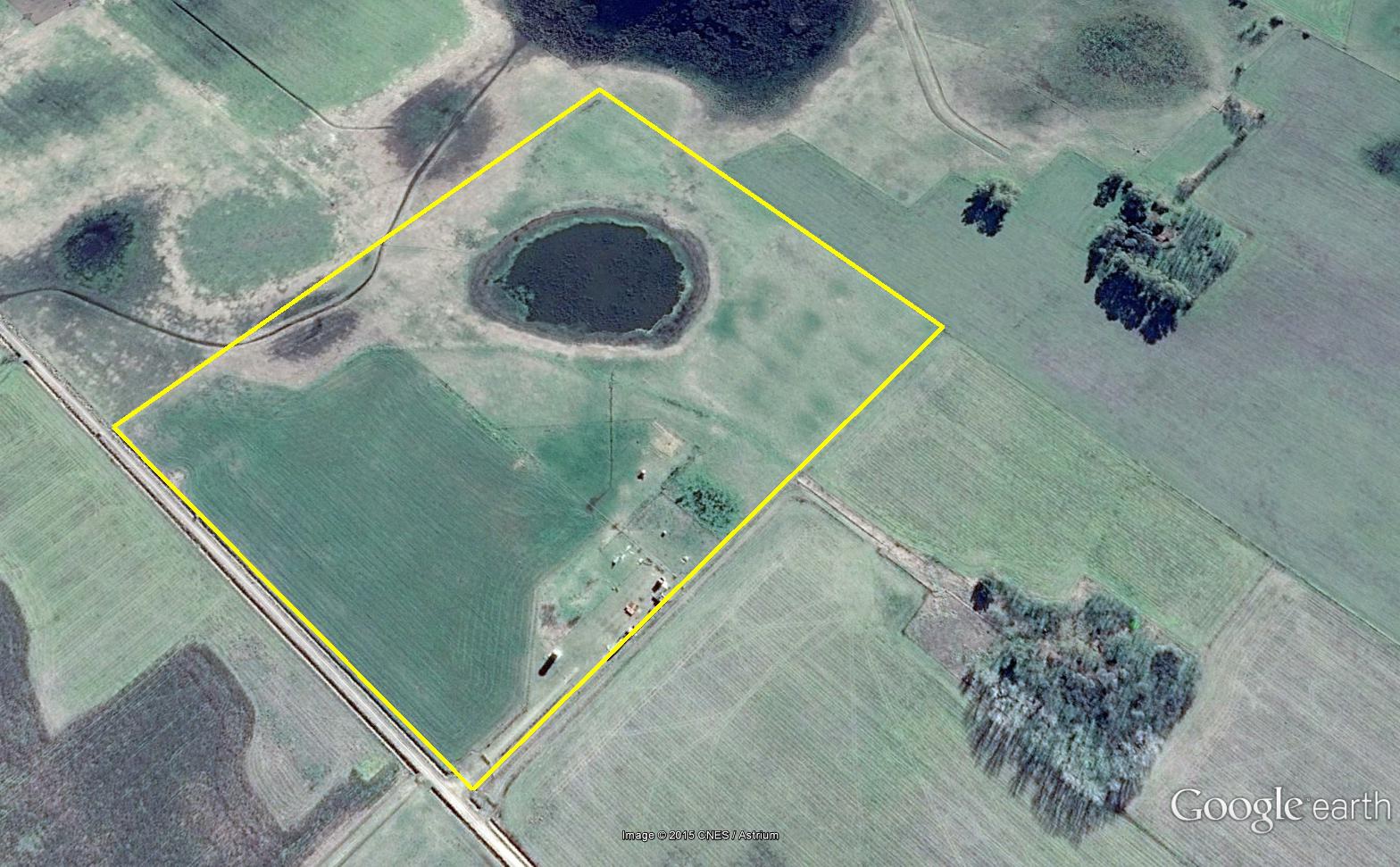 Feed Lot en Campo de 19 has con instalacion de engorde en Roque Perez